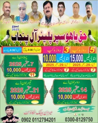 حق باہو سپر پلیر آل پنجاب چیمپین شپ اسوج29 ستمبر 2025 تین روزہ اینڈ پانچ روزہ