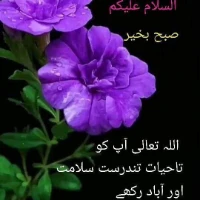 استاد ریاض چھت پپو مہروالی