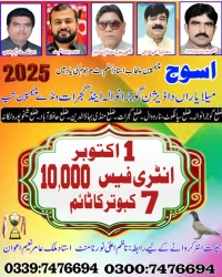 میلہ یاراں دا ڈویژن گوجرانوالا اینڈ گجرات ون ڈے چیمپین شپ اسوج 01 اکتوبر 2025