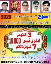 میلہ یاراں دا ڈویژن گوجرانوالہ اینڈ گجرات ون ڈے چیمپین شپ 03 اکتوبر 2025