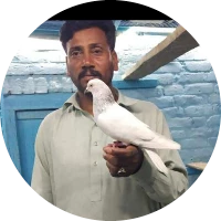 استاد افتخار گلہ