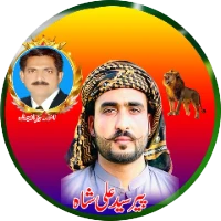 سید علی شاہ کوٹ پیر شاہ