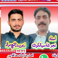 استاد نجم شاہ چھت زین وڑائچ مرالہ