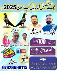 Uk Tehsil Kharian Asooj Cup 2025