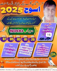 Aziz Pigeon Club Bega Banian Tournament 2