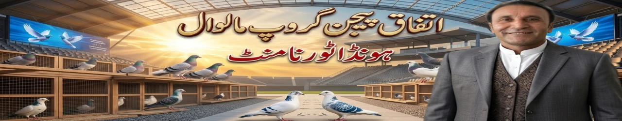 اتفاق پیجن گروپ مالوال