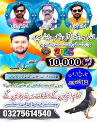 لالی سُپر پلئیرز آل پنجاب اینڈ میرپور ونڈے