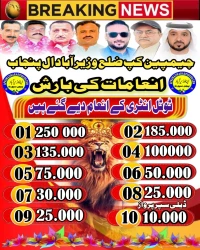 چیمپین کپ ضلع وزیر آباد ال پنجاب اسوج 2025